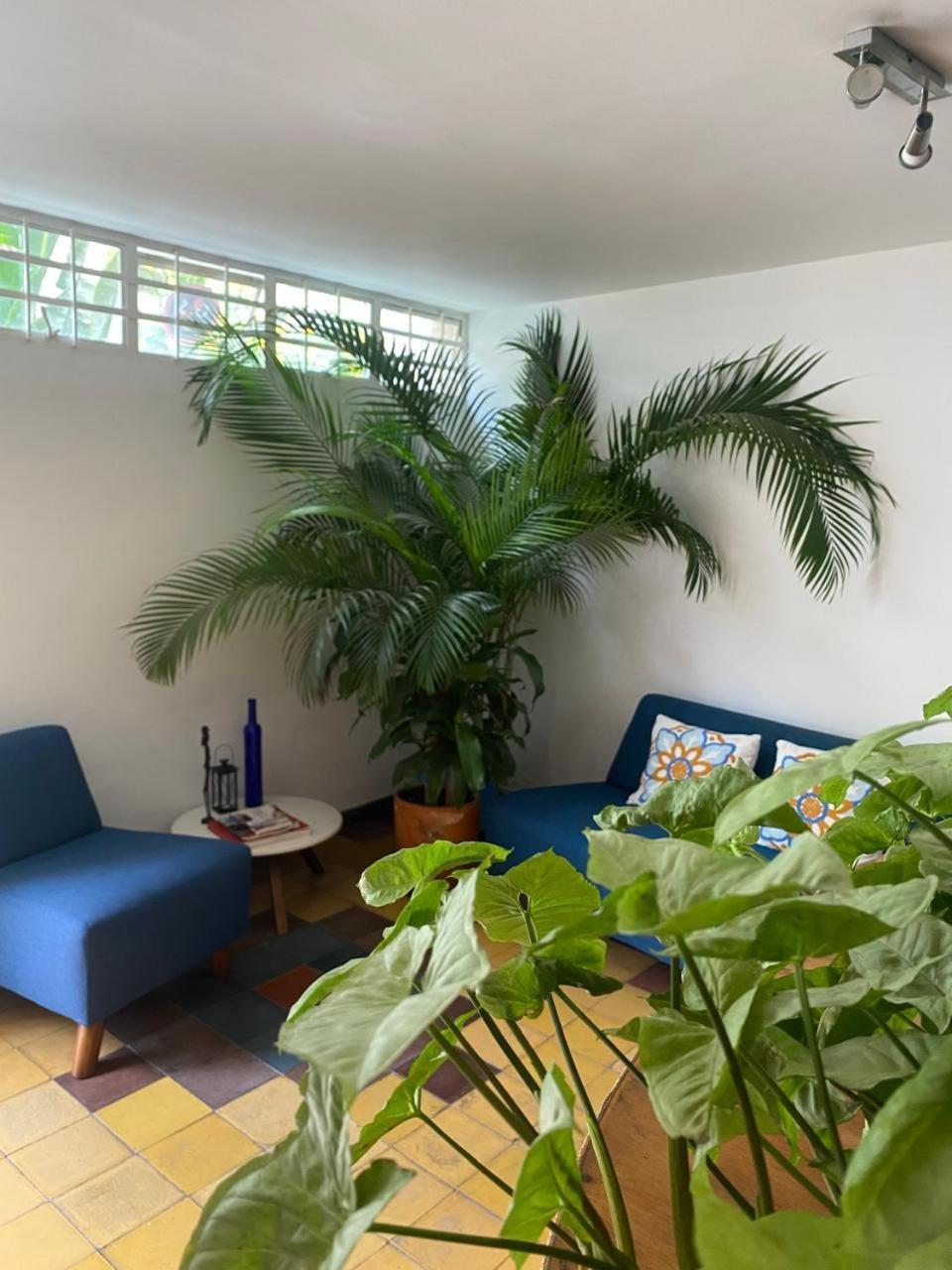 Casa Hotel Jardin Azul Cali Ngoại thất bức ảnh